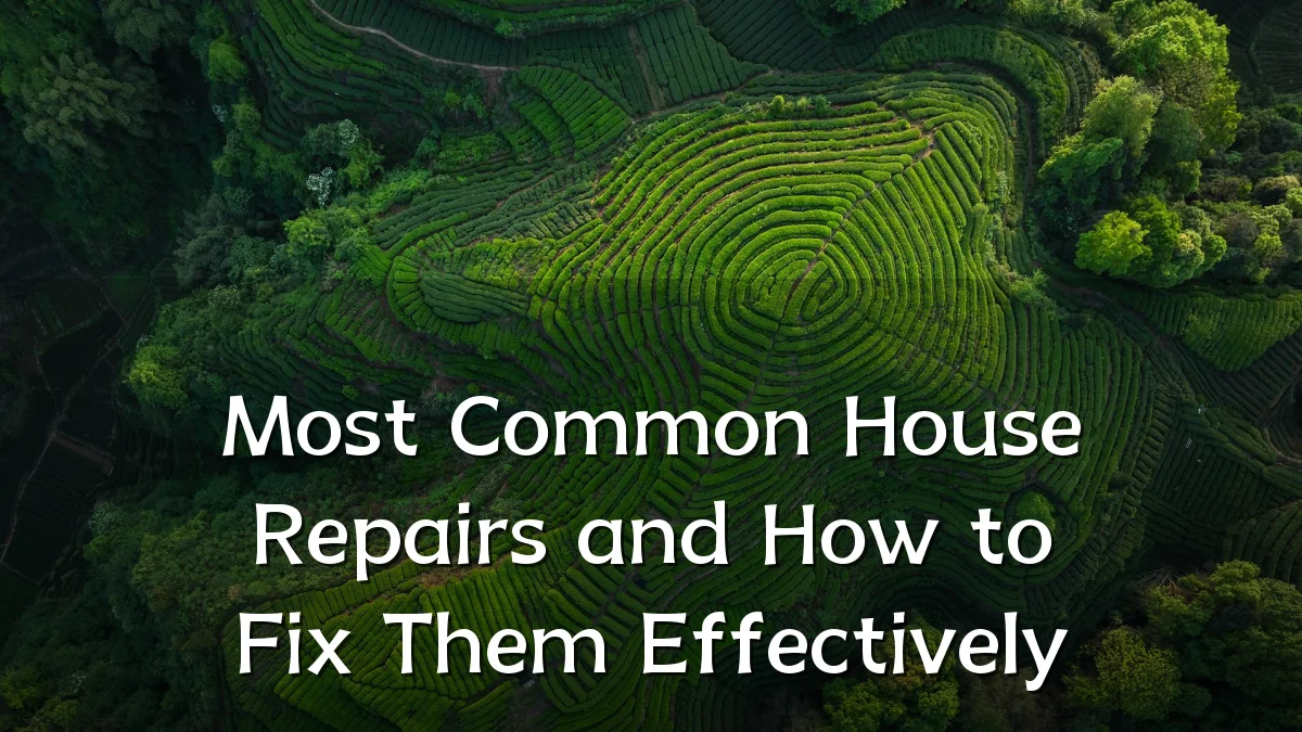 Most Common House Repairs and How to Fix Them Effectively