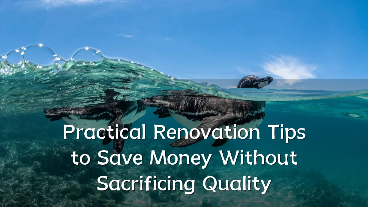 Practical Renovation Tips to Save Money Without Sacrificing Quality
