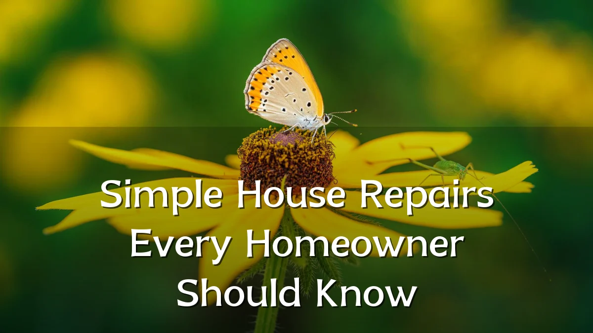 Simple House Repairs Every Homeowner Should Know