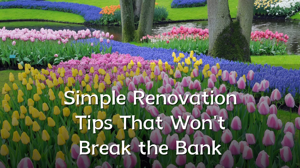 Simple Renovation Tips That Won't Break the Bank