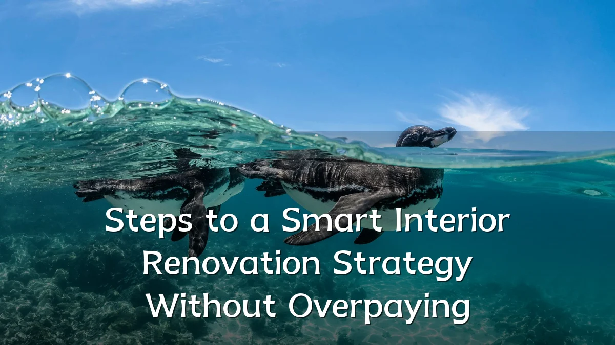 Steps to a Smart Interior Renovation Strategy Without Overpaying