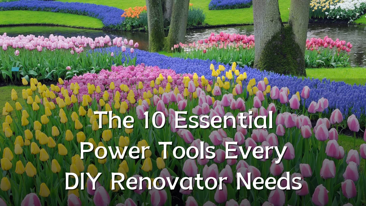 The 10 Essential Power Tools Every DIY Renovator Needs