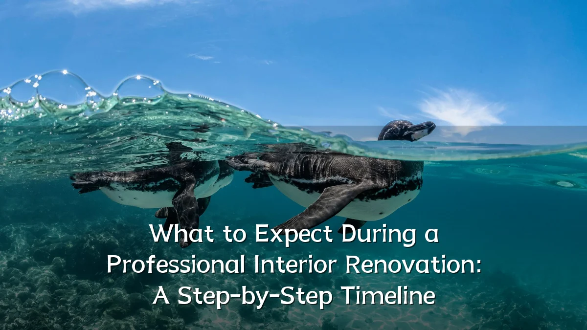 What to Expect During a Professional Interior Renovation: A Step-by-Step Timeline